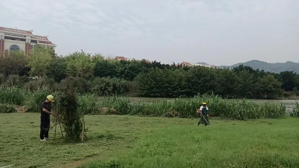 南靖县 | 绷紧思想弦,筑牢园林安全生产防线 南靖县 | 绷紧思想弦,筑牢园林安全生产防线