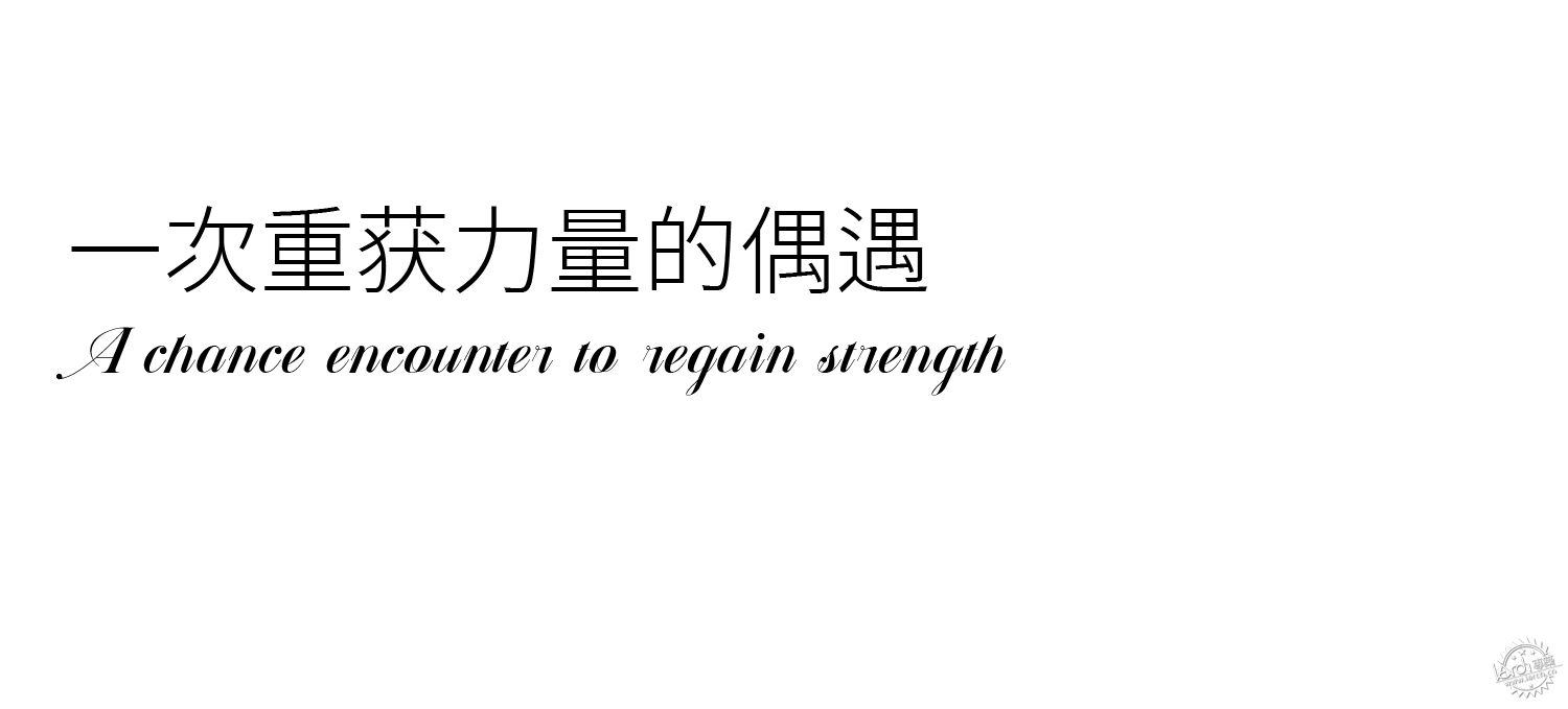 甜梦·逢时民宿 | 飘落海边的蒲公英第10张图片