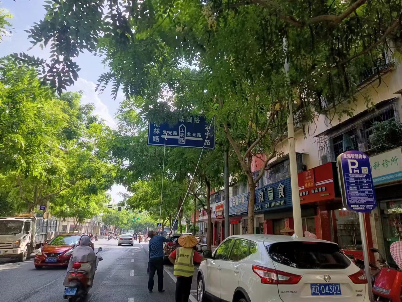龙海区丨脚踏实地护园林,以绿援建拓新城 龙海区丨脚踏实地护园林,以绿援建拓新城