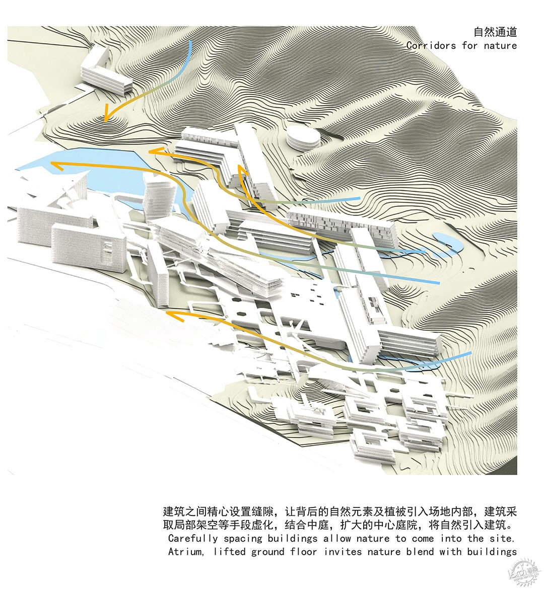 中国科学院深圳理工大学第20张图片