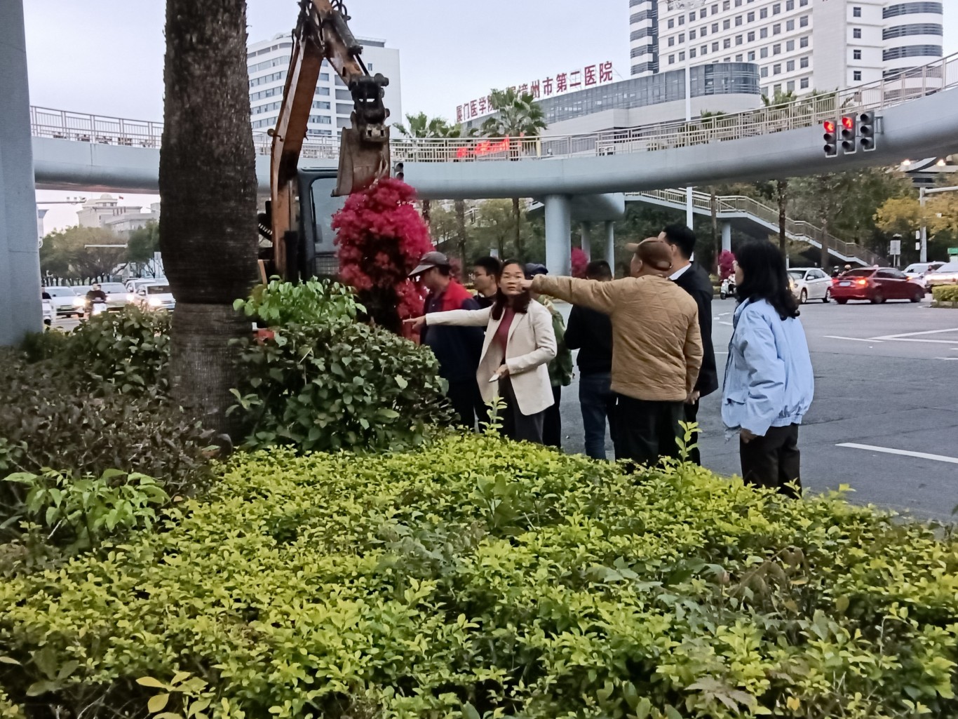 龙海区 | 升级绿化焕新颜 绘就城市园林新画卷 龙海区 | 升级绿化焕新颜 绘就城市园林新画卷