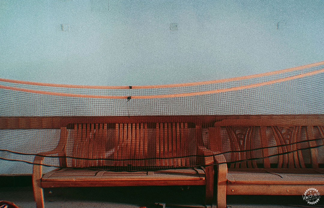 洋河体育场：一处没有观众，却鲜花盛开的遗忘之地第11张图片