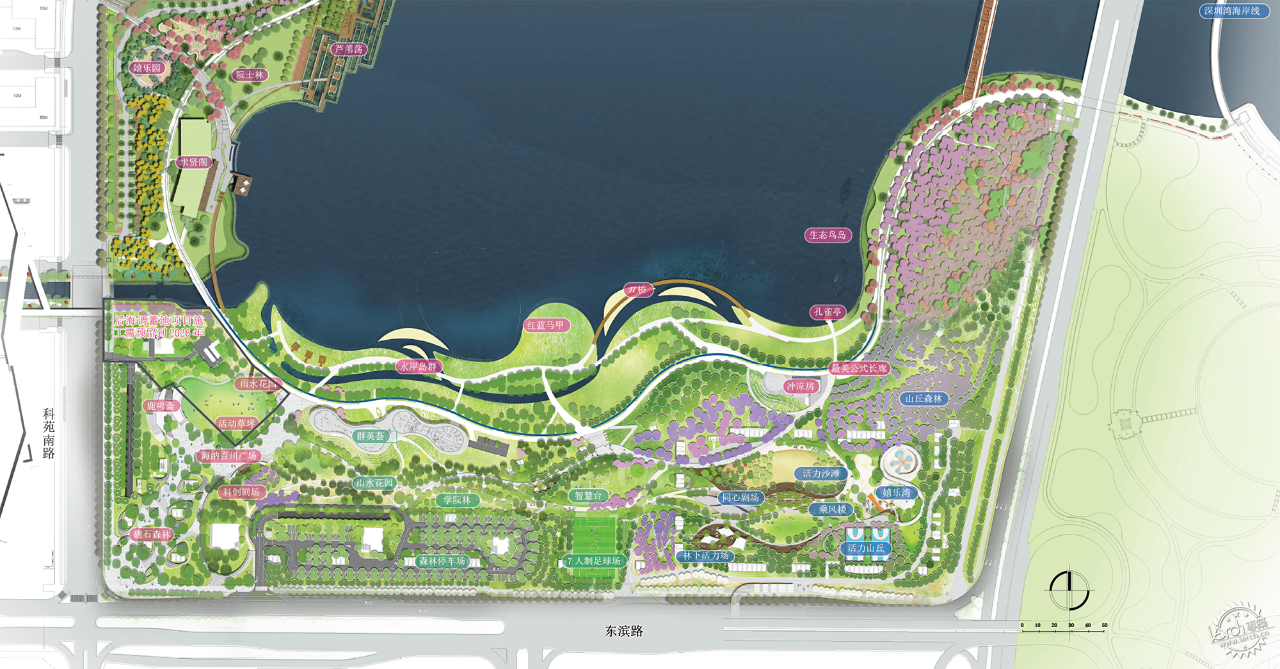 深圳人才公园（二期）：生长的湾区城市客厅第29张图片