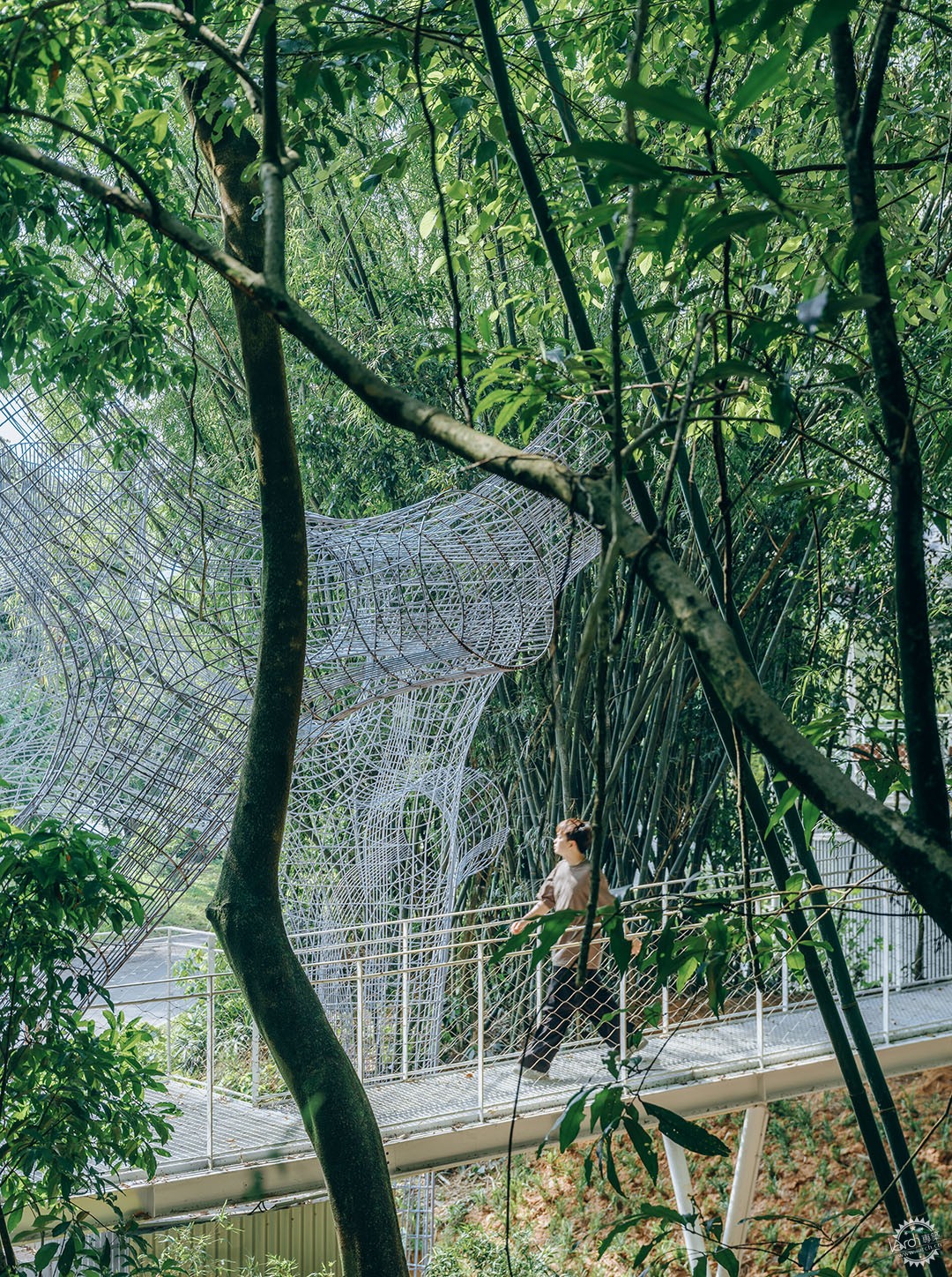 风袂驿 Floating Canopy Grove第14张图片