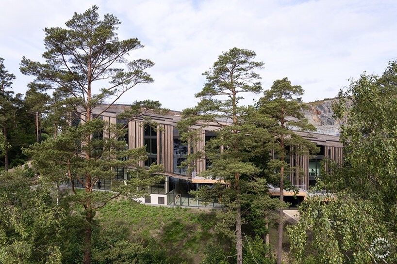 把森林搬进房子里：玻璃滤光影，中庭能蹦迪还能晒太阳第4张图片