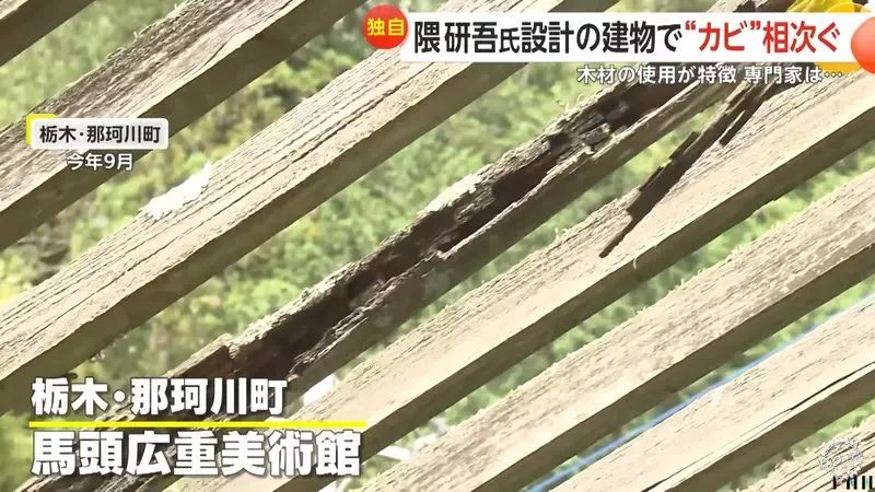 建筑的“第二生命”：究竟是失败的建筑，还是失败的运营？第43张图片