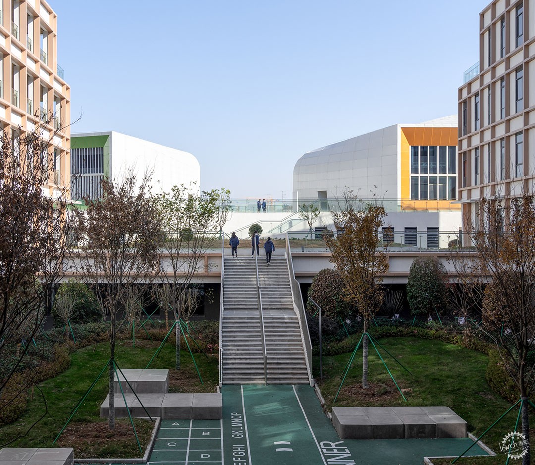 在校园的街道邂逅，衢州第六实验学校第13张图片