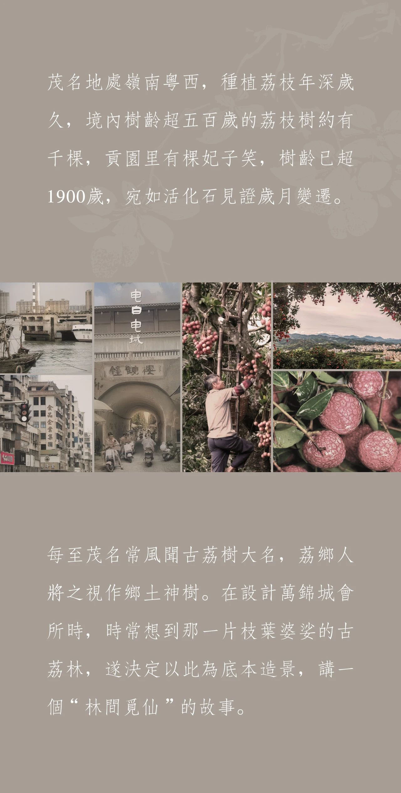 共生作品 | 茂名启泰万锦城会所第2张图片