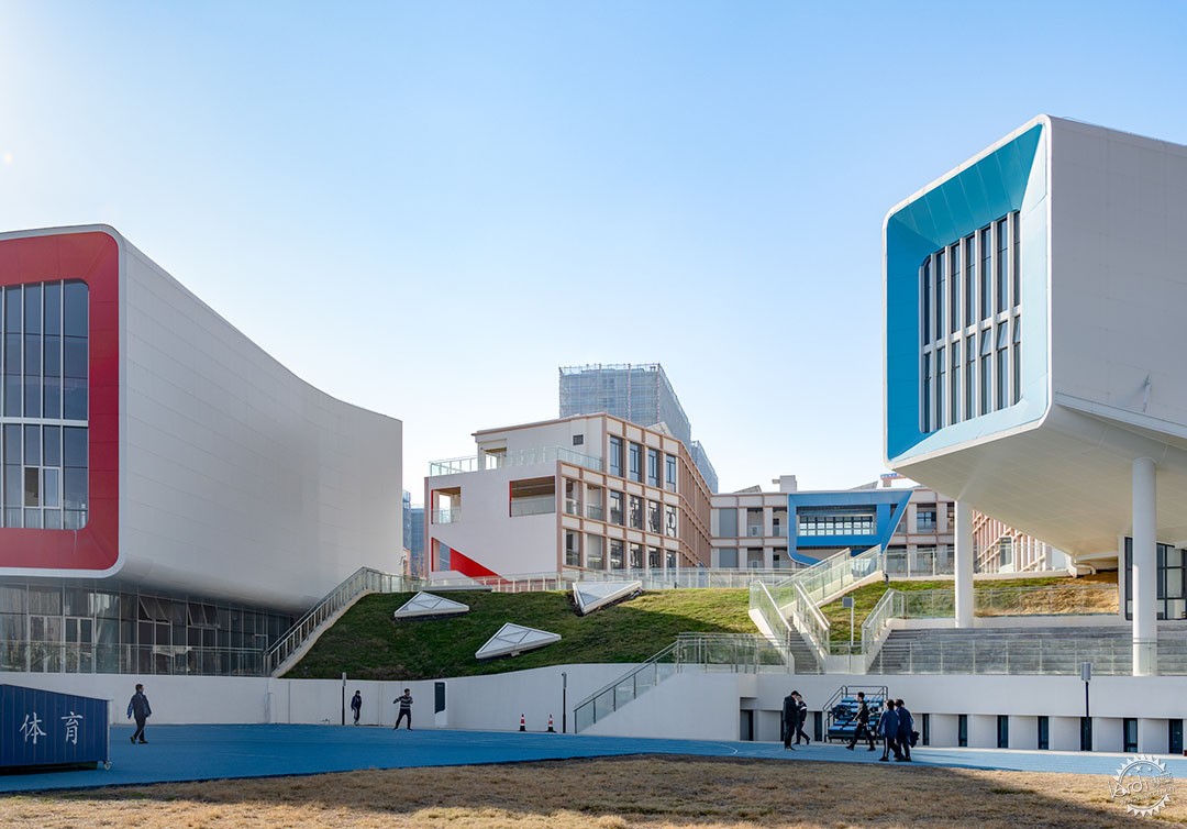 在校园的街道邂逅，衢州第六实验学校第12张图片