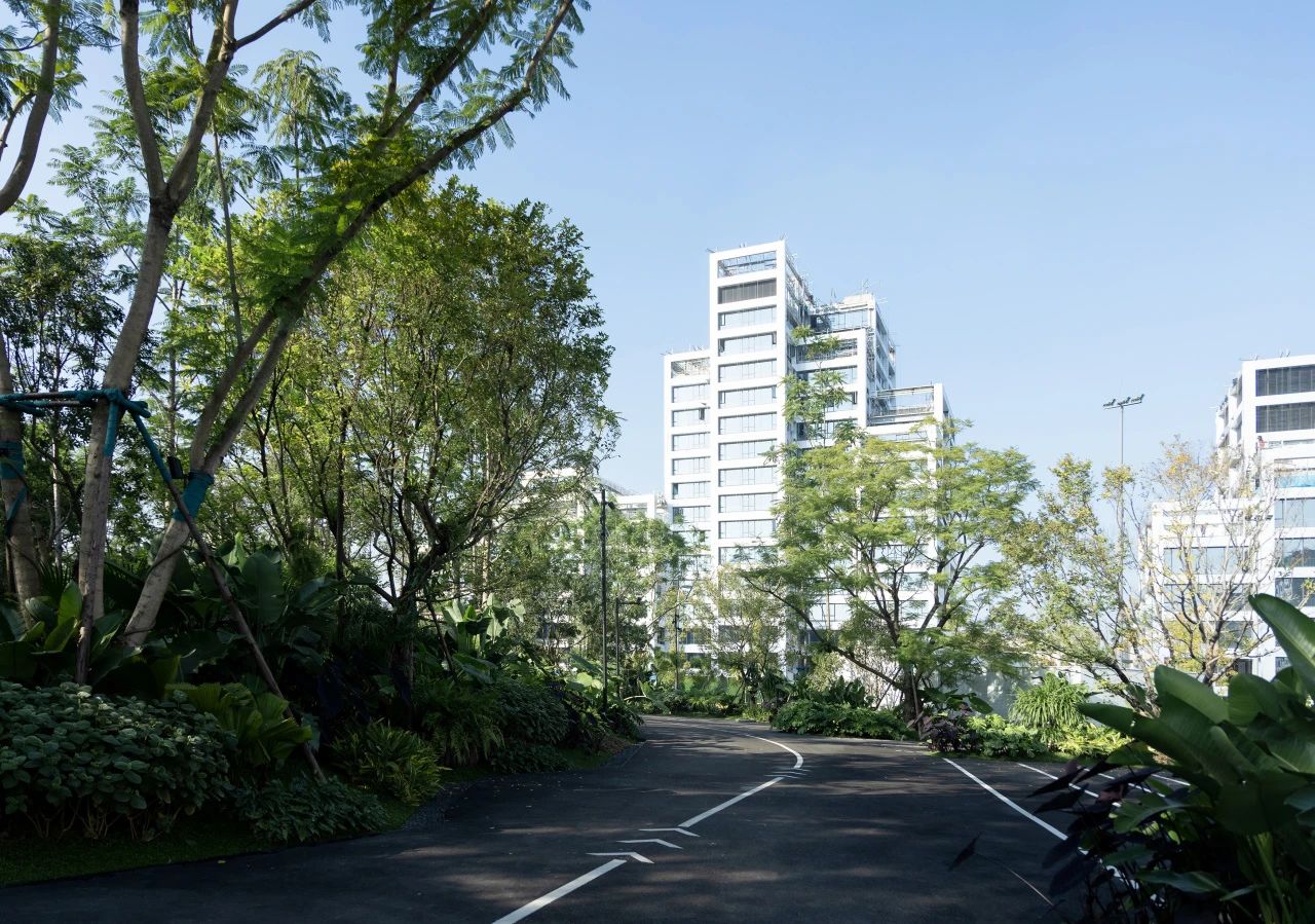 ONE PARK | G11第4张图片