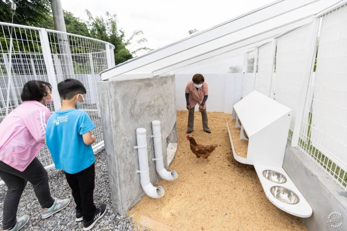 小小鸡舍，大大改变，成为孩子们的自然课堂第18张图片