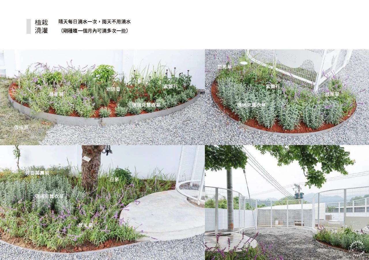 小小鸡舍，大大改变，成为孩子们的自然课堂第29张图片