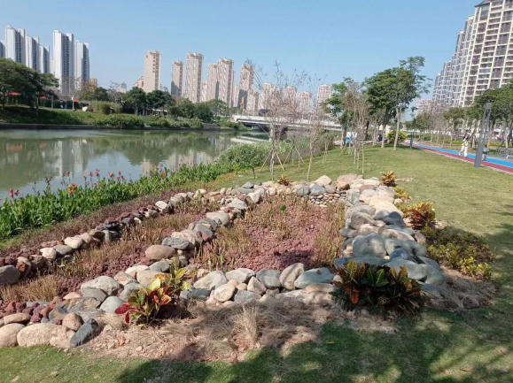 内河治理2.0的探索与实践 | 九十九湾示范段(上美湖至响水桥)整治提升工程项目 内河治理2.0的探索与实践 | 九十九湾示范段(上美湖至响水桥)整治提升工程项目