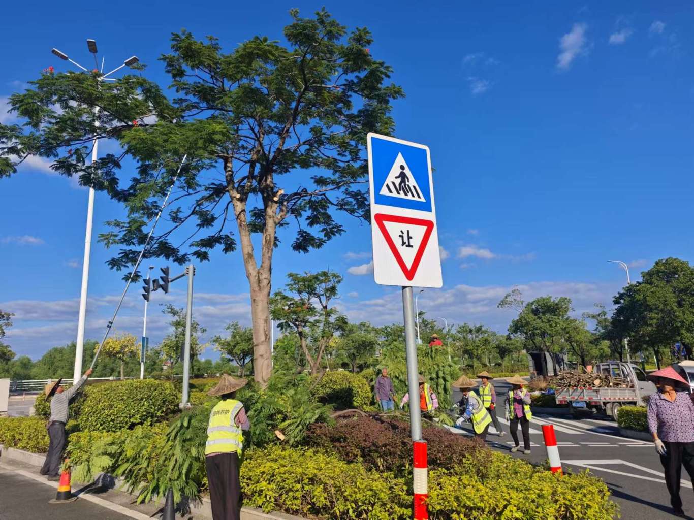 龙海区丨脚踏实地护园林,以绿援建拓新城 龙海区丨脚踏实地护园林,以绿援建拓新城