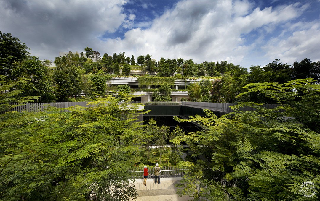 东方嬗变：花园城市理念在亚洲的在地化旅程第1张图片