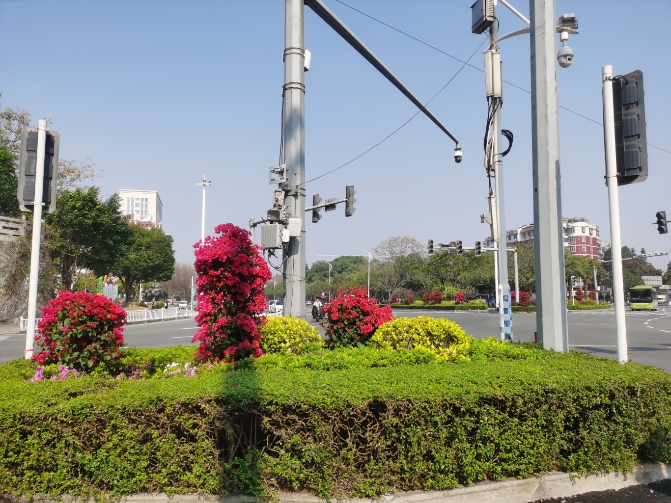 龙海区 | 升级绿化焕新颜 绘就城市园林新画卷 龙海区 | 升级绿化焕新颜 绘就城市园林新画卷