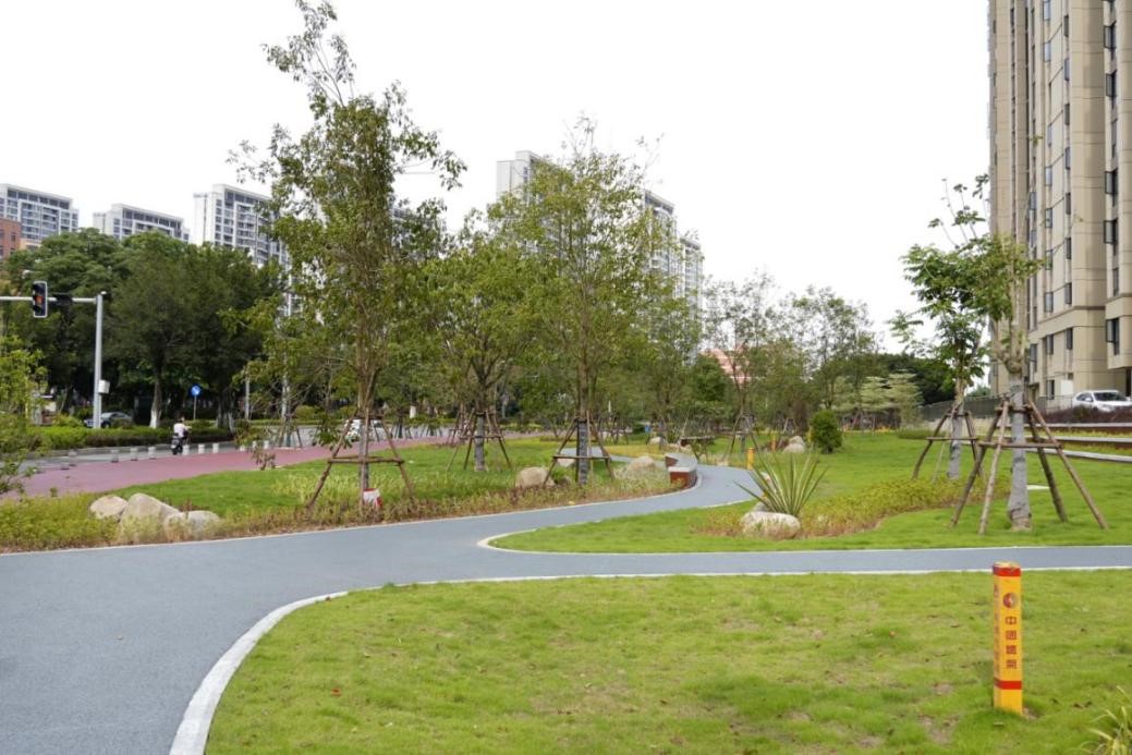 漳州又一海绵型口袋公园建成开放! 漳州又一海绵型口袋公园建成开放!