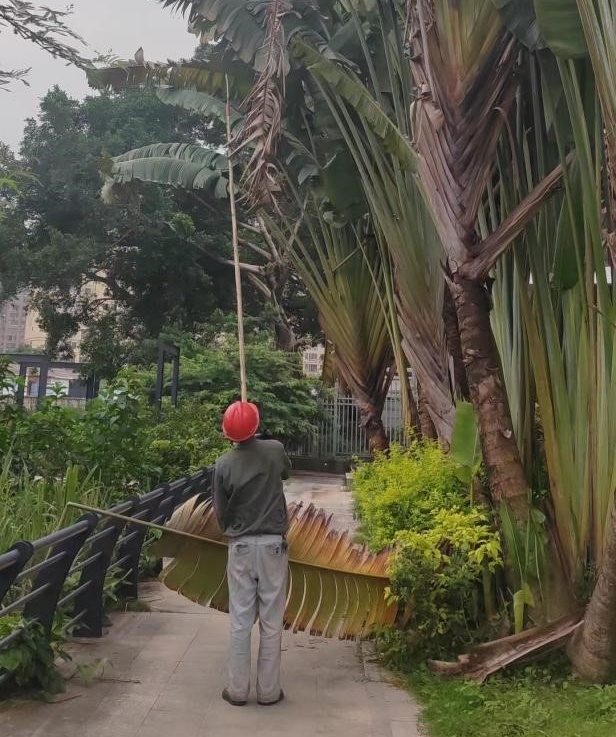 南靖县 | 绷紧思想弦,筑牢园林安全生产防线 南靖县 | 绷紧思想弦,筑牢园林安全生产防线