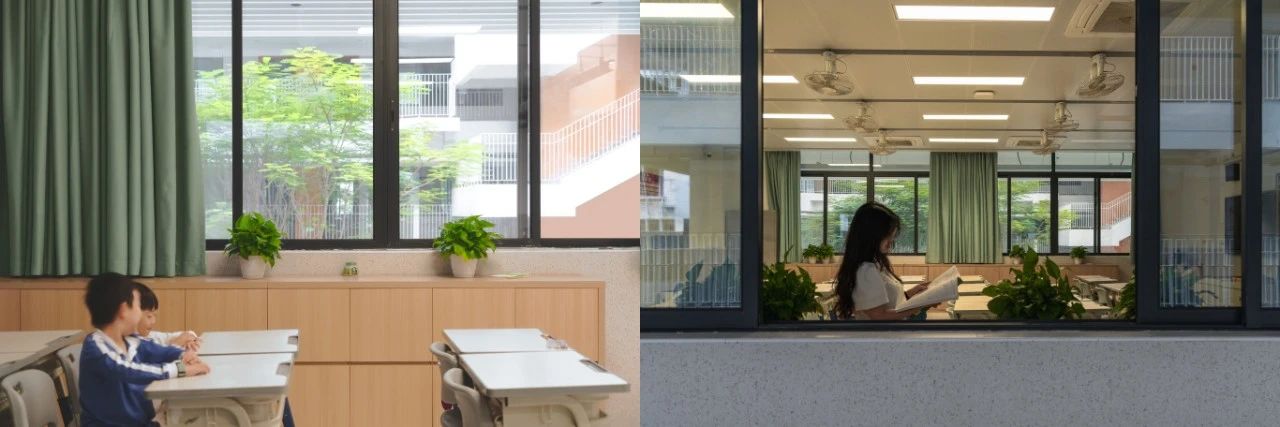 深圳梅园实验学校：于城市山林中开启未来第11张图片