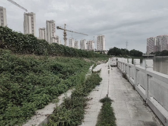 内河治理2.0的探索与实践 | 九十九湾示范段(上美湖至响水桥)整治提升工程项目 内河治理2.0的探索与实践 | 九十九湾示范段(上美湖至响水桥)整治提升工程项目