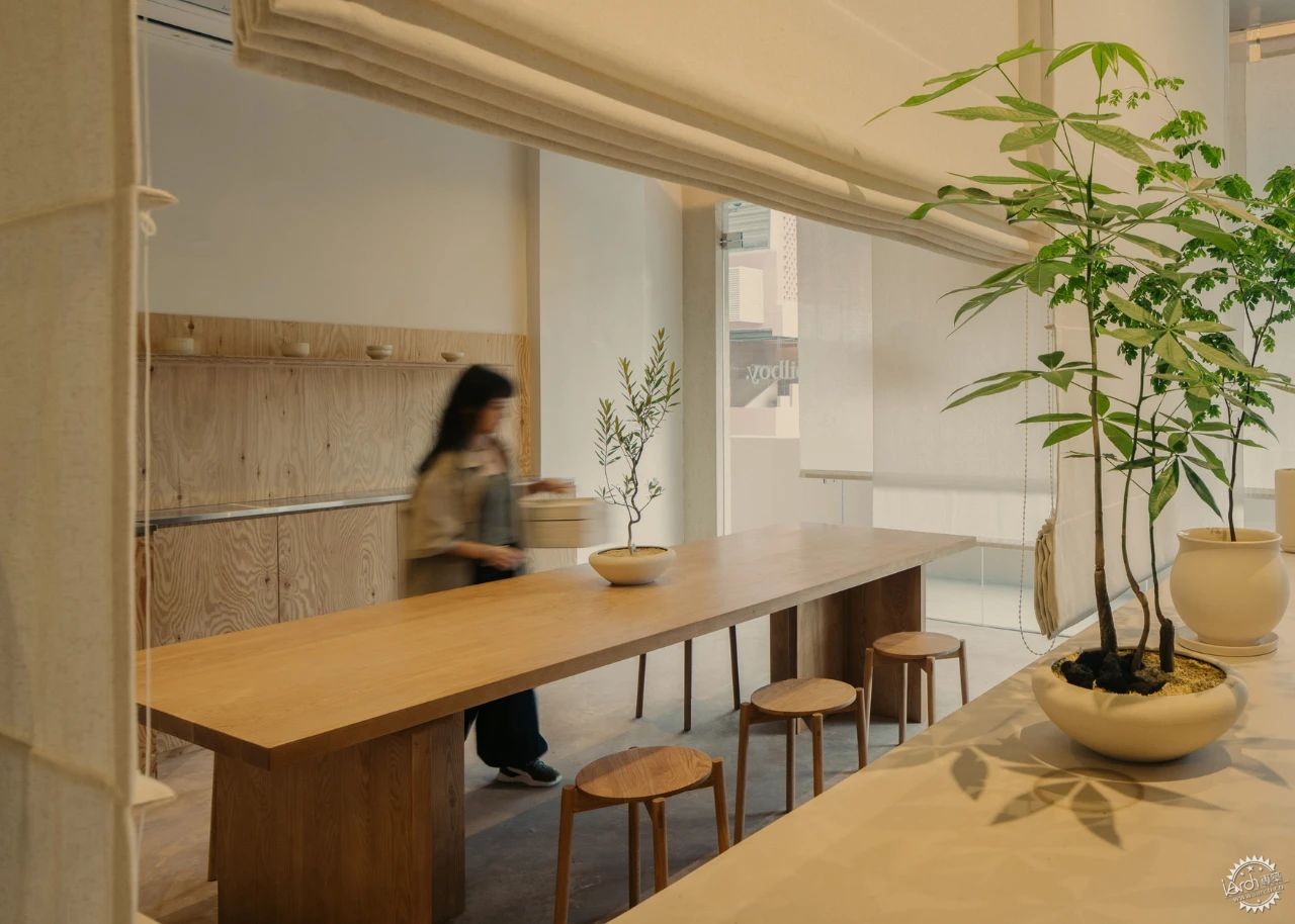 新加坡这家植物零售店反传统设计，用昏暗的照明营造沉浸式的购物体验！第26张图片
