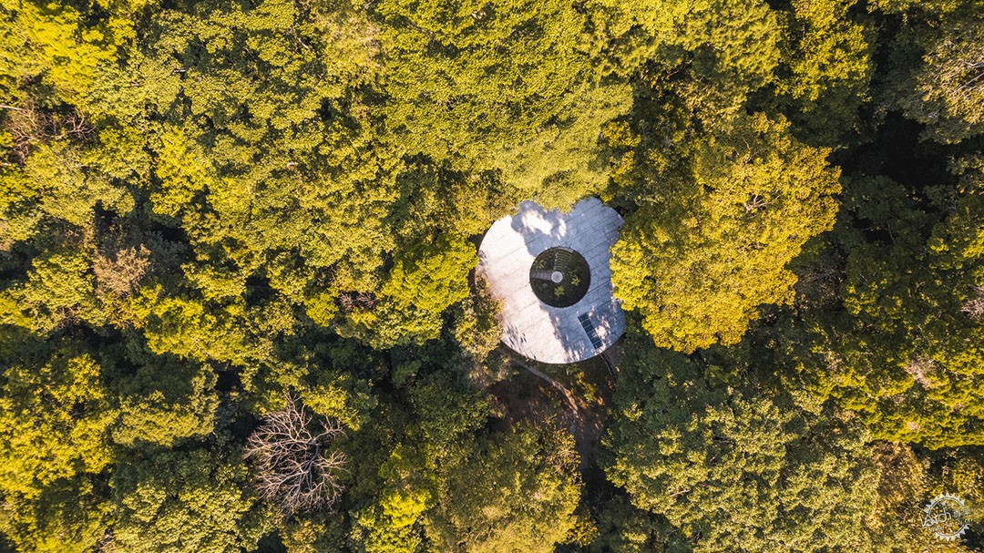 极限挑战下的奇迹，架空树顶屋的建造冒险第2张图片