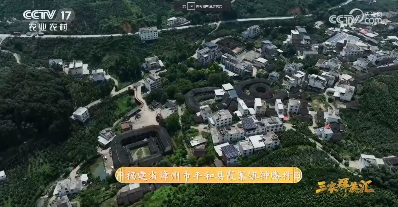 闽台乡建乡创丨再上央视!筑梦乡野中 闽台乡建乡创丨再上央视!筑梦乡野中