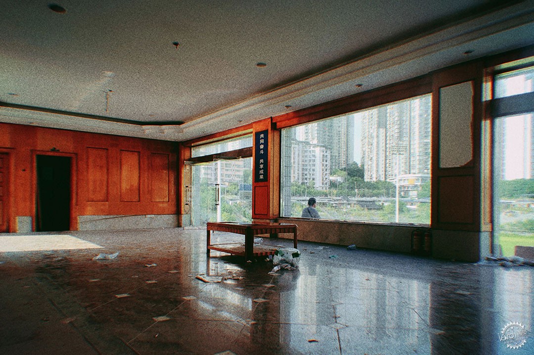 洋河体育场：一处没有观众，却鲜花盛开的遗忘之地第12张图片
