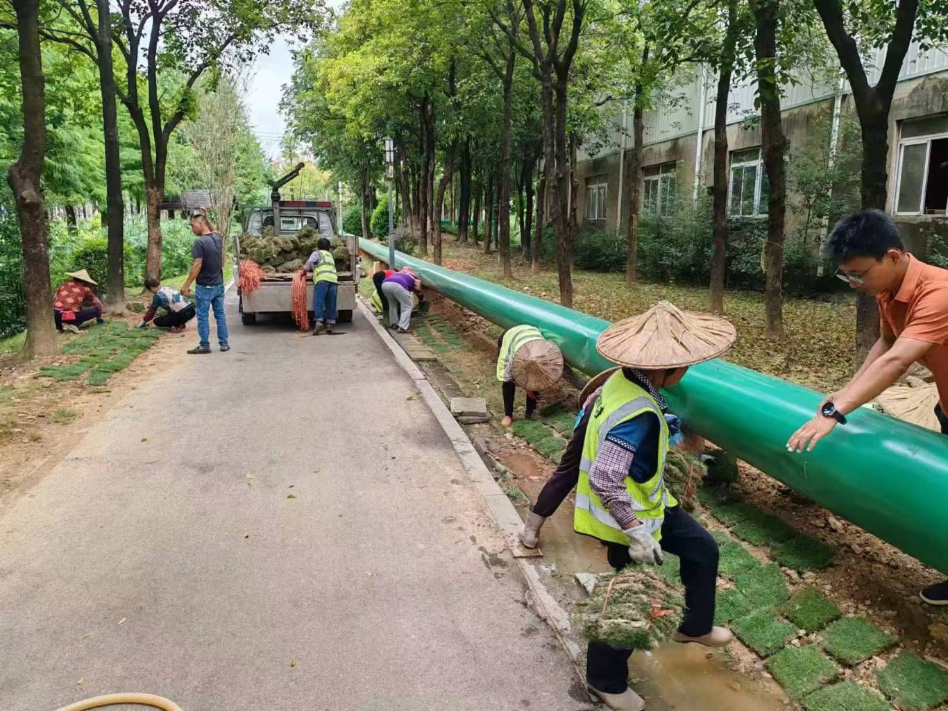 龙海区丨脚踏实地护园林,以绿援建拓新城 龙海区丨脚踏实地护园林,以绿援建拓新城