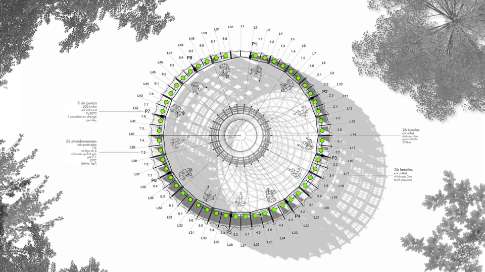放学后的快乐密码：童趣自留地第8张图片