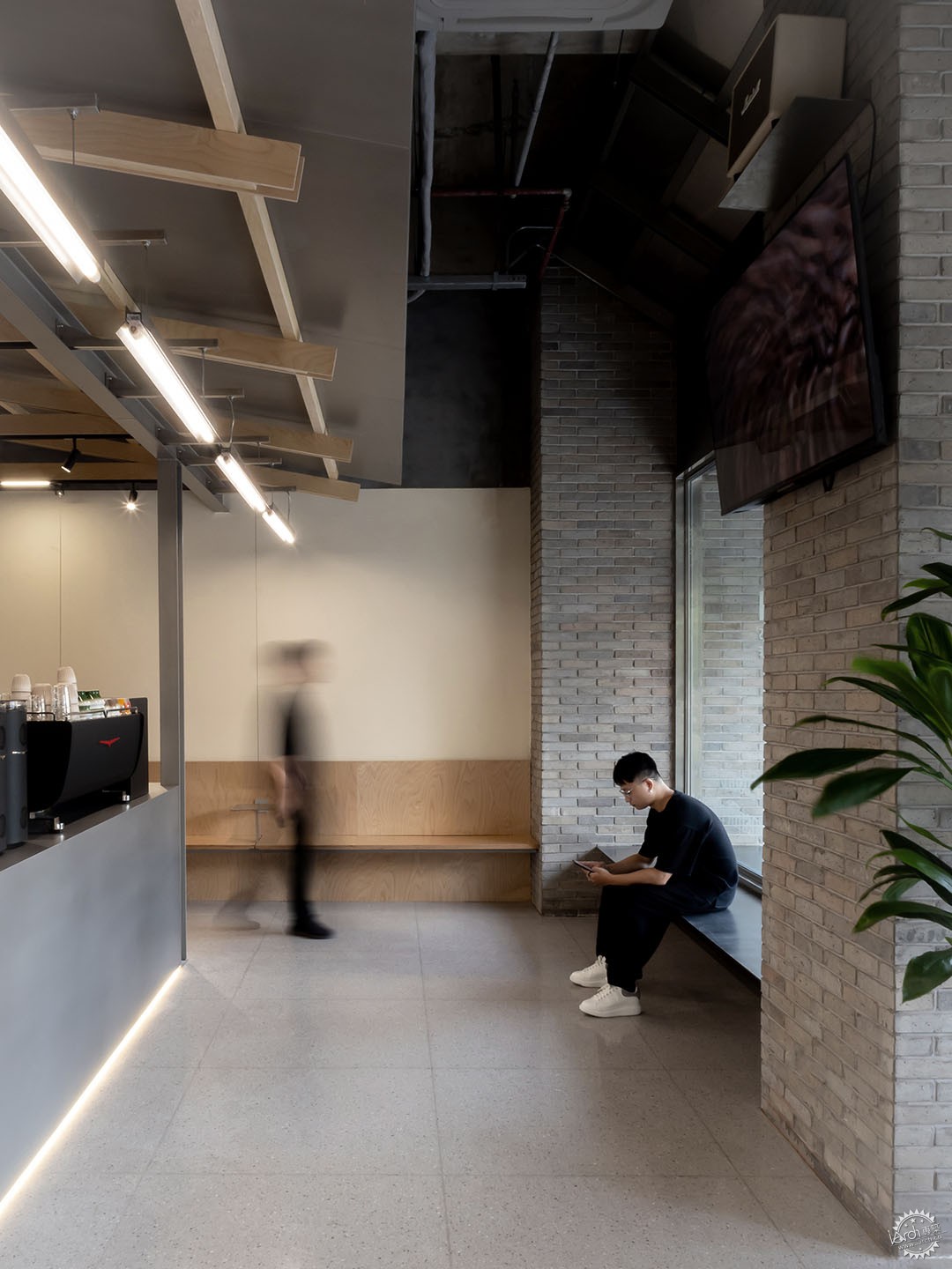 MARUS COFFEE及咖啡学院第9张图片