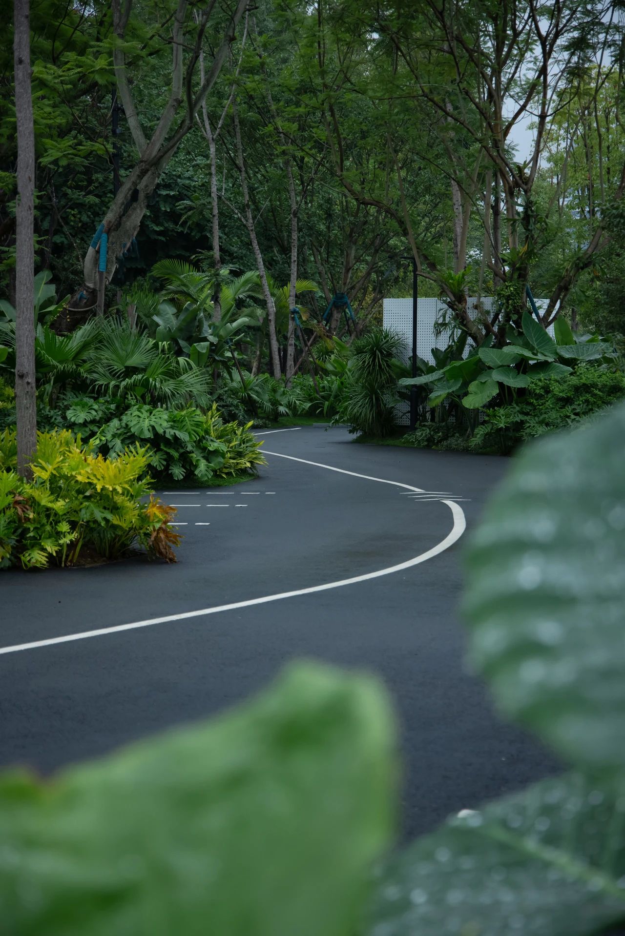 ONE PARK | G11第26张图片