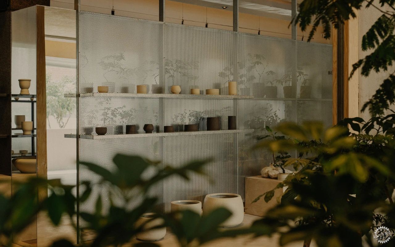 新加坡这家植物零售店反传统设计，用昏暗的照明营造沉浸式的购物体验！第18张图片