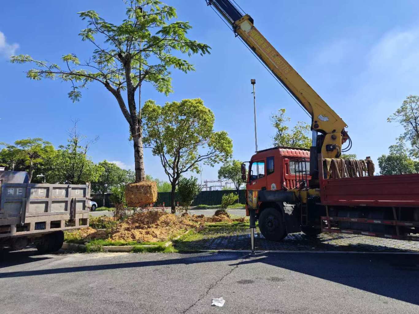 龙海区丨脚踏实地护园林,以绿援建拓新城 龙海区丨脚踏实地护园林,以绿援建拓新城