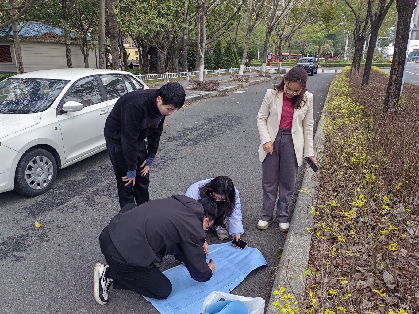 龙海区 | 升级绿化焕新颜 绘就城市园林新画卷 龙海区 | 升级绿化焕新颜 绘就城市园林新画卷