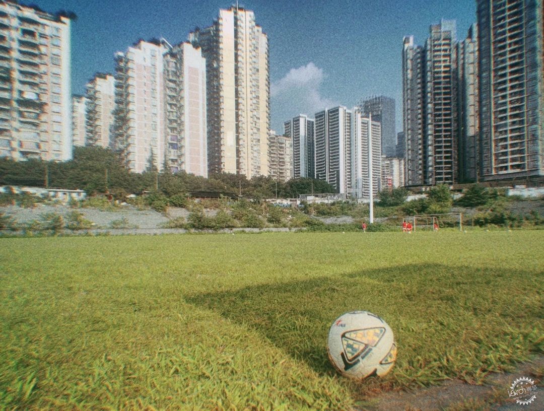 洋河体育场：一处没有观众，却鲜花盛开的遗忘之地第19张图片