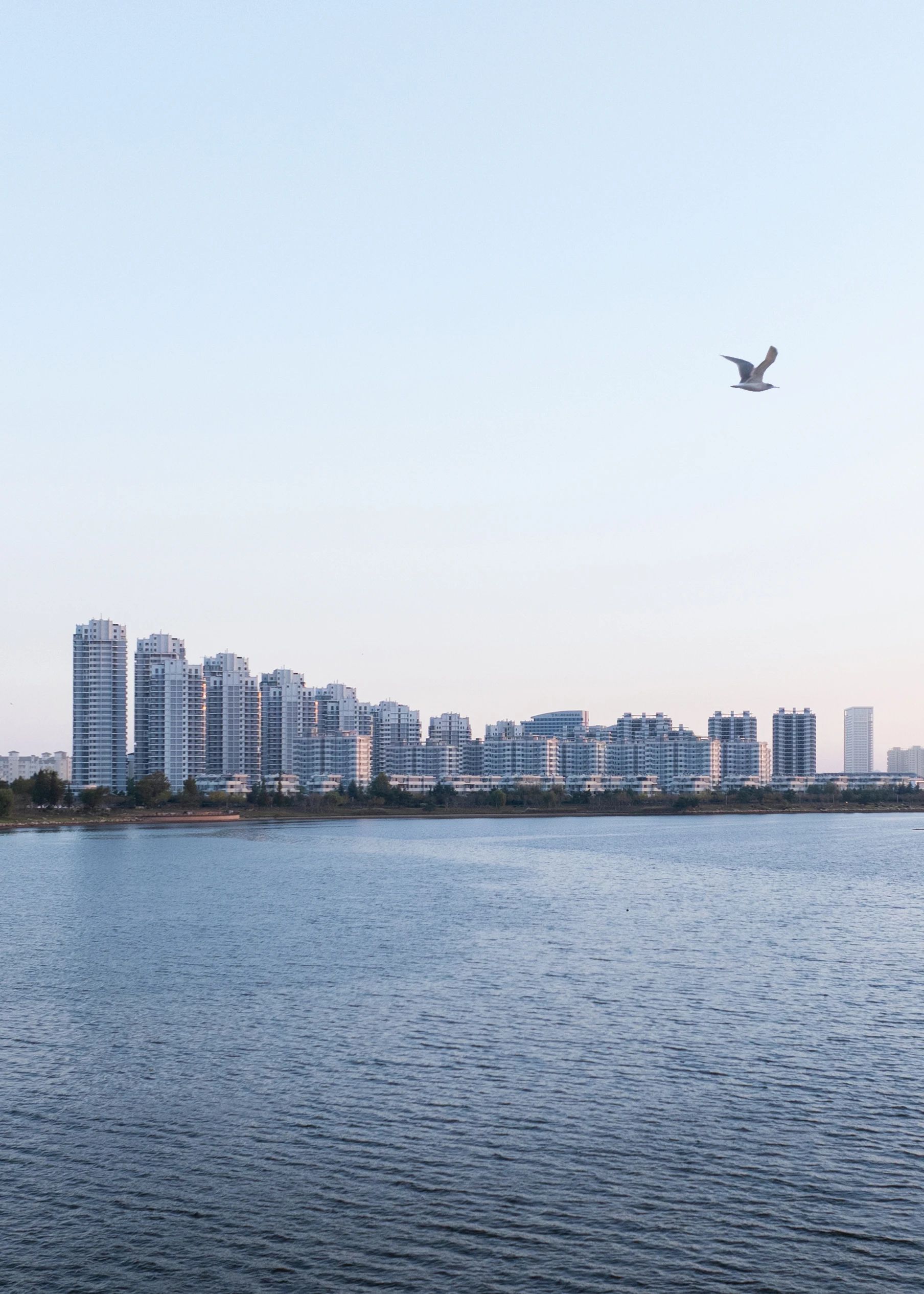 项目丨中车·荣成自在澜湾第33张图片