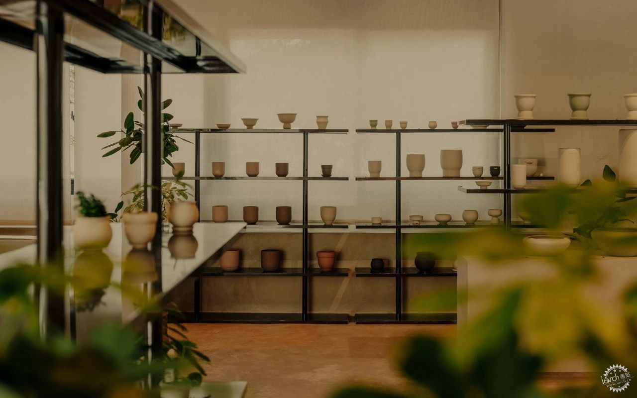 新加坡这家植物零售店反传统设计，用昏暗的照明营造沉浸式的购物体验！第16张图片