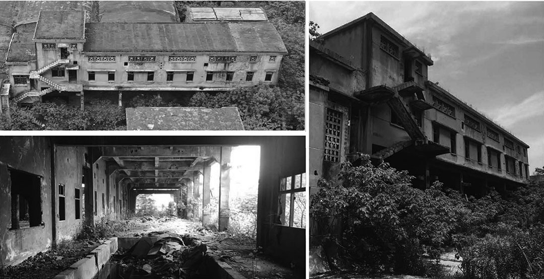 三里仓1958：上海松江化肥厂旧址新生第18张图片