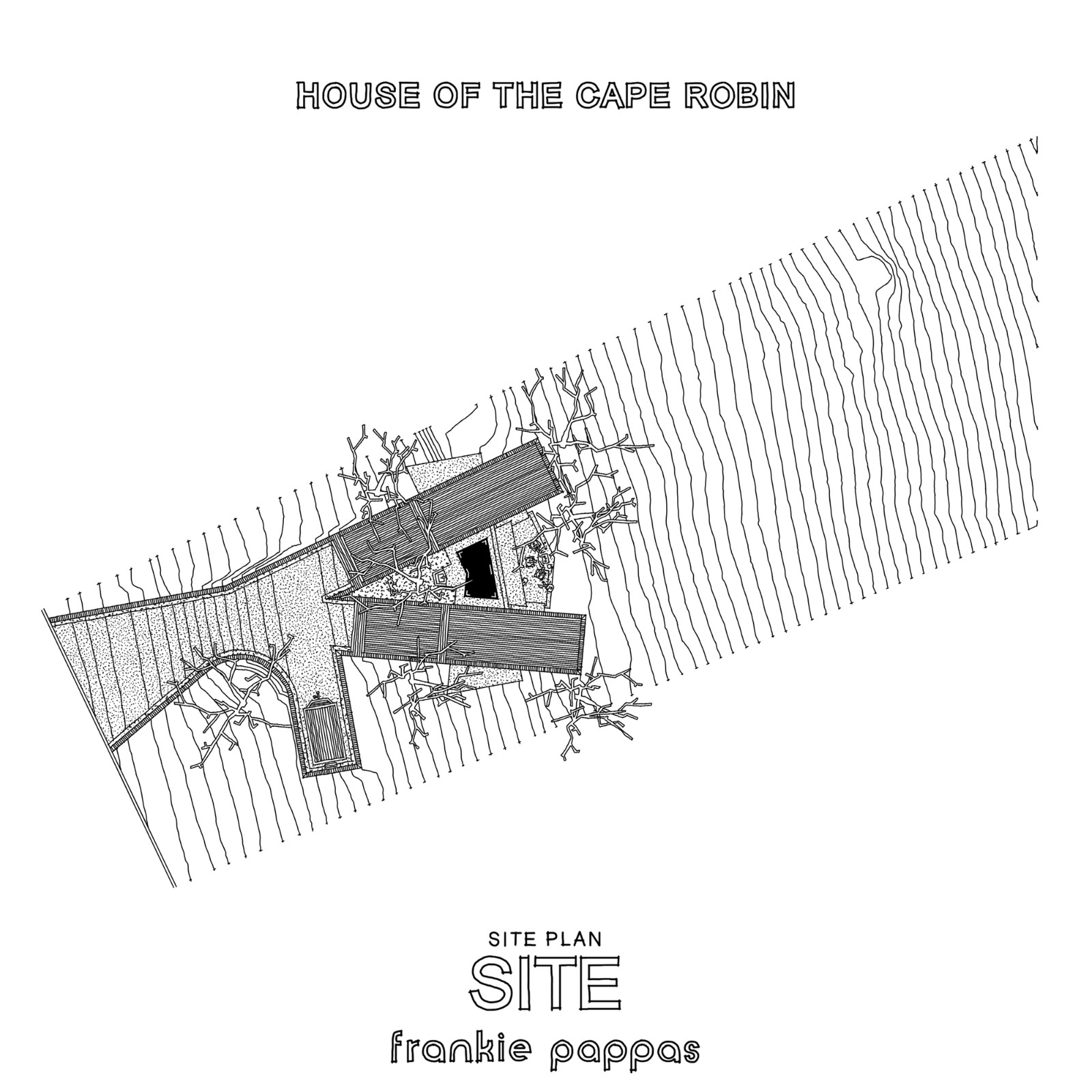 1735444965229709.jpg