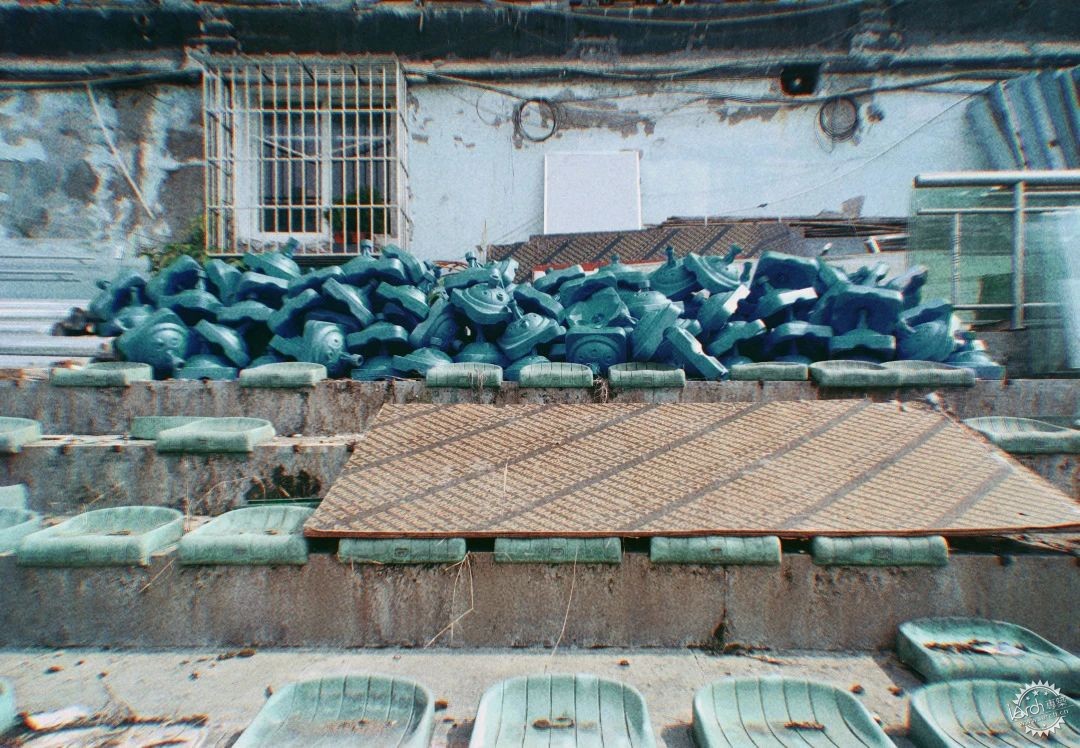 洋河体育场：一处没有观众，却鲜花盛开的遗忘之地第23张图片