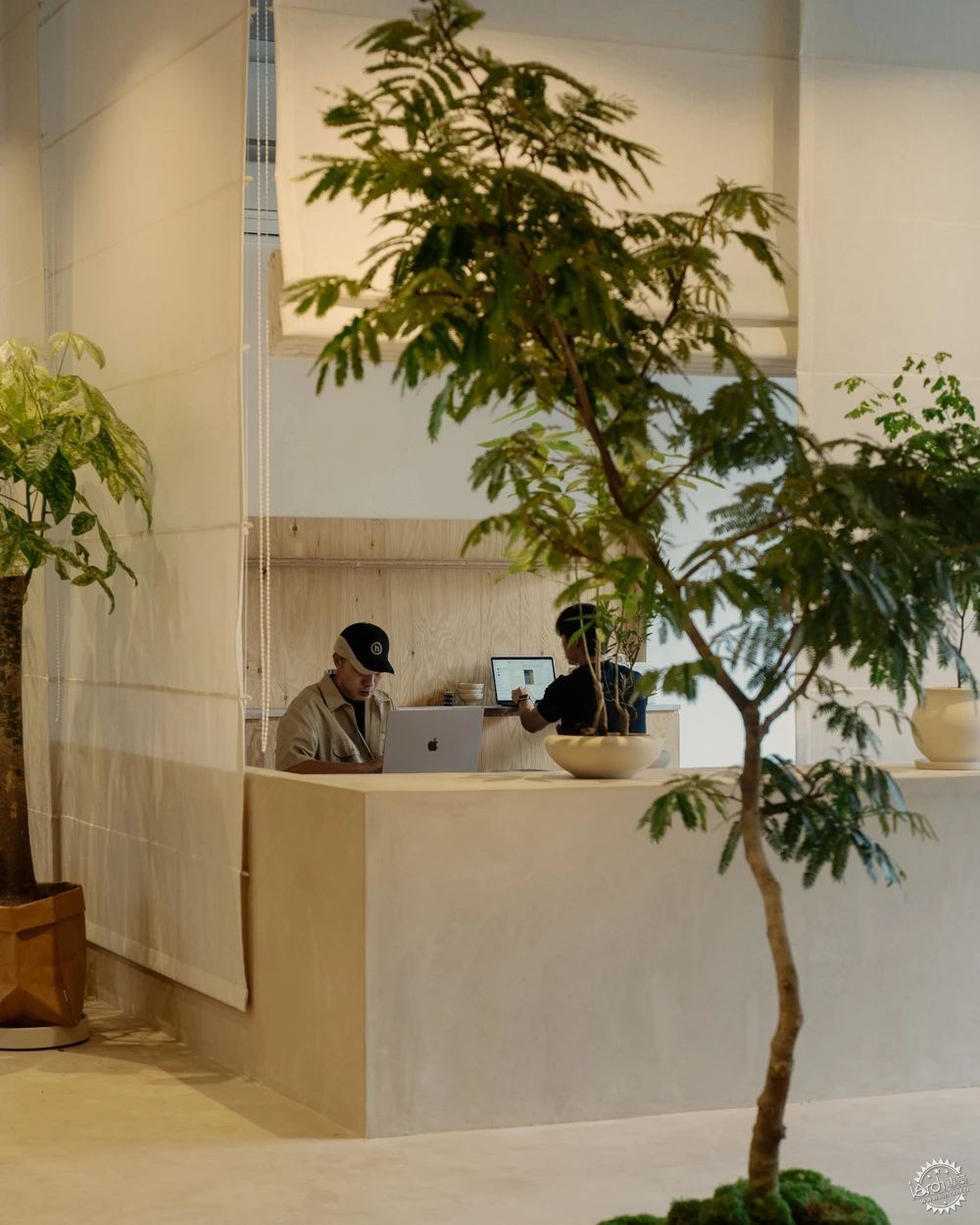 新加坡这家植物零售店反传统设计，用昏暗的照明营造沉浸式的购物体验！第3张图片