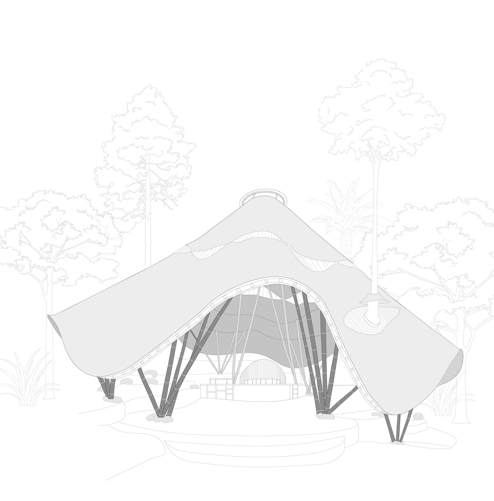 1731940100542076.jpg