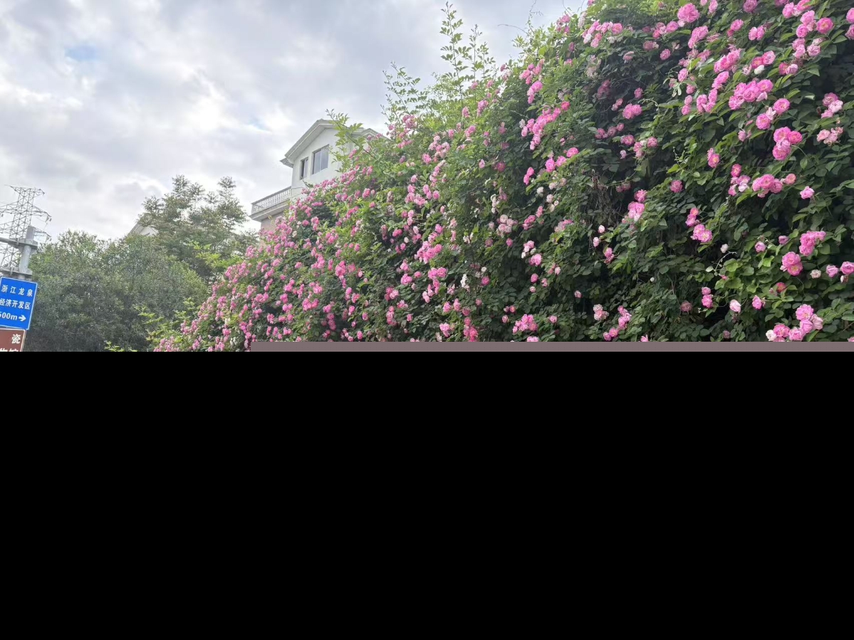 56c2c43082e3d850fd4f91d31ddfb571.jpg