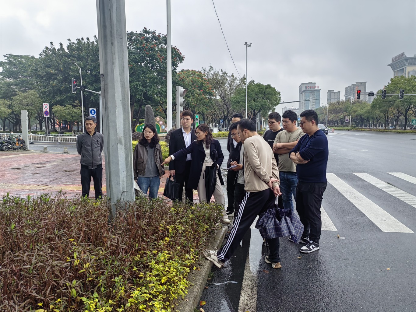龙海区 | 升级绿化焕新颜 绘就城市园林新画卷 龙海区 | 升级绿化焕新颜 绘就城市园林新画卷
