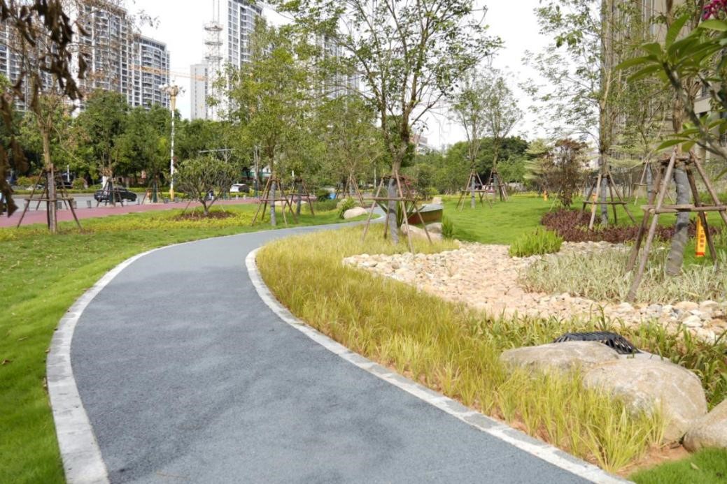 漳州又一海绵型口袋公园建成开放! 漳州又一海绵型口袋公园建成开放!