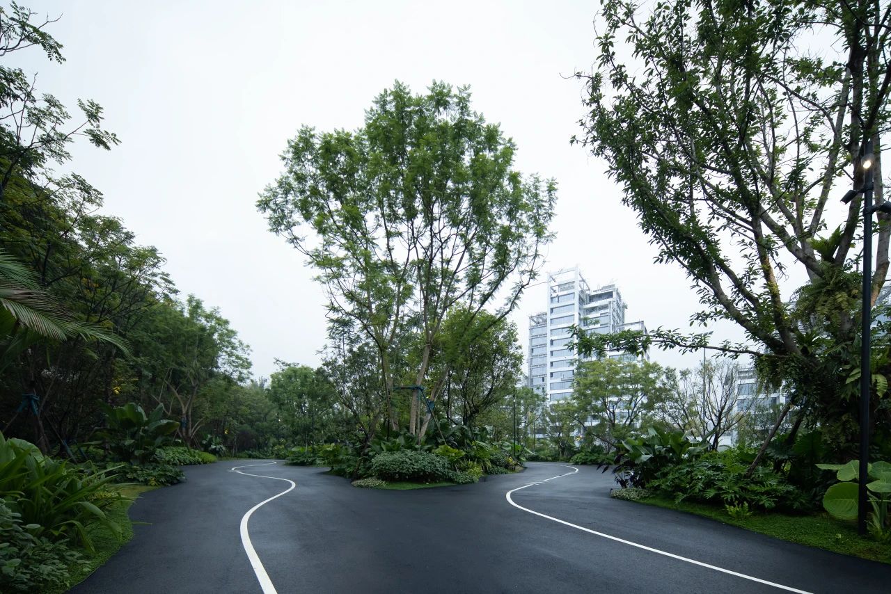 ONE PARK | G11第20张图片