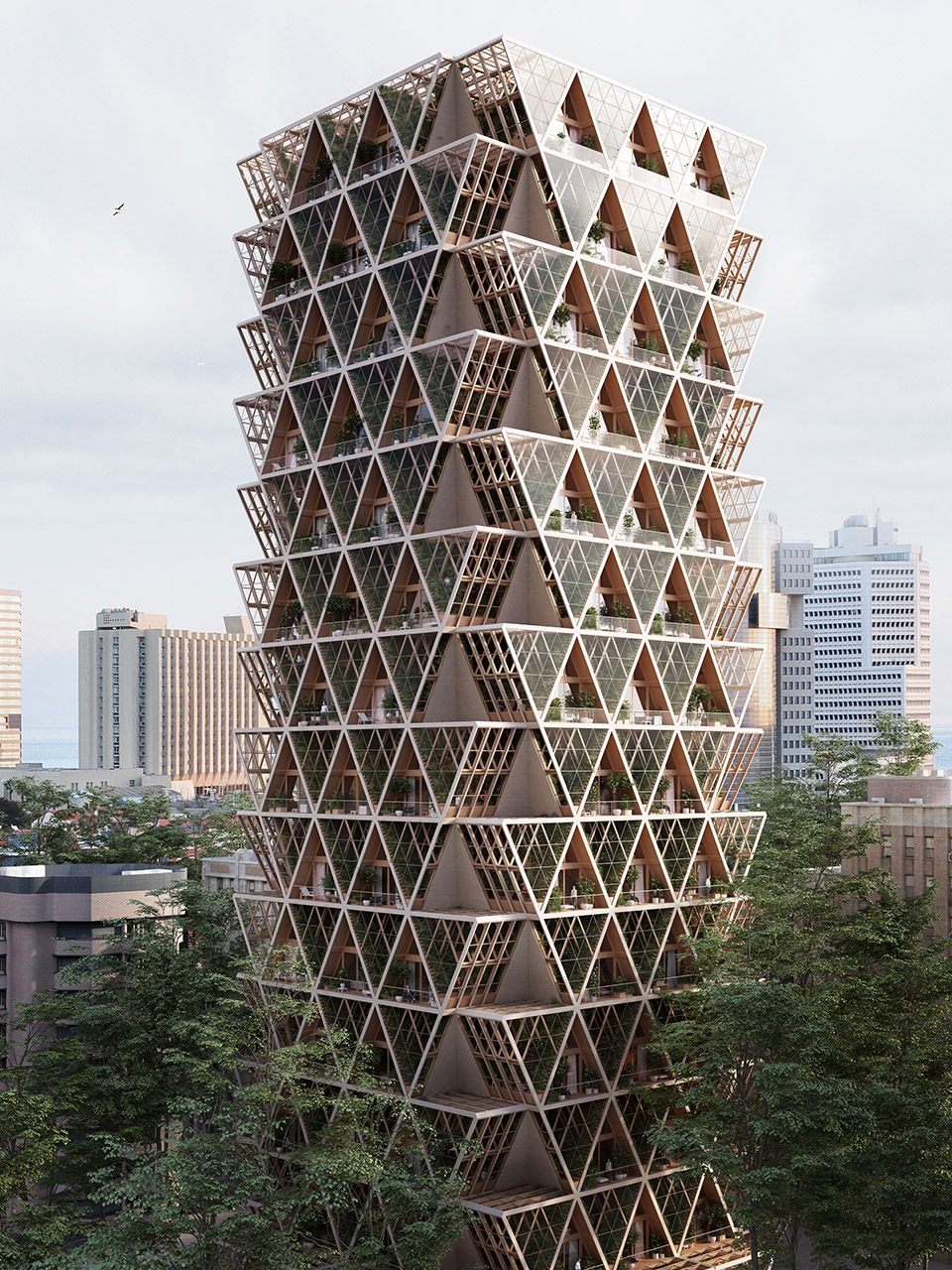 从画图纸到种菜：建筑师如何用设计思维颠覆传统农业？第7张图片
