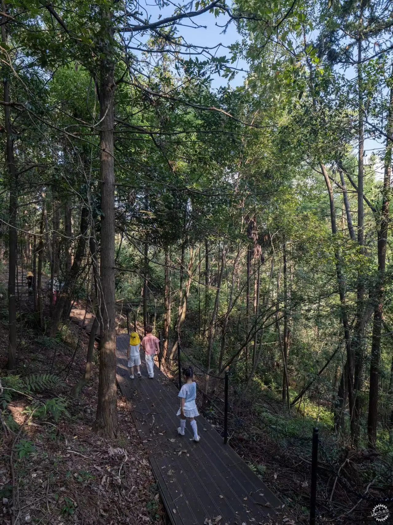 傍山麓野 | 长沙麓隐青竹湖第37张图片