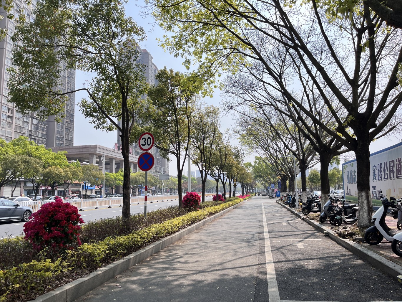 龙海区 | 升级绿化焕新颜 绘就城市园林新画卷 龙海区 | 升级绿化焕新颜 绘就城市园林新画卷